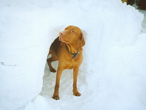 foto02.jpg