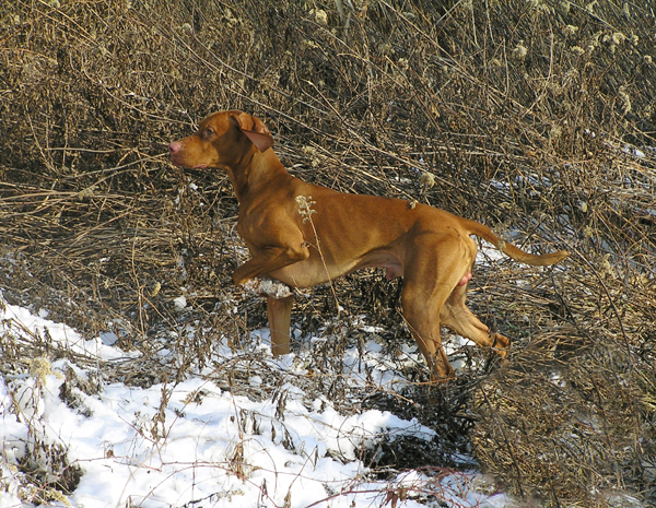 foto06.jpg