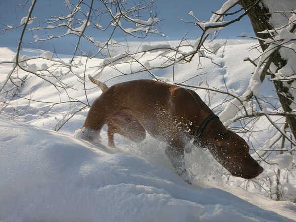 foto12.jpg
