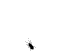 8604.jpg.gif